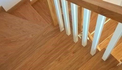 13988843_507382656117399_2089356144_n